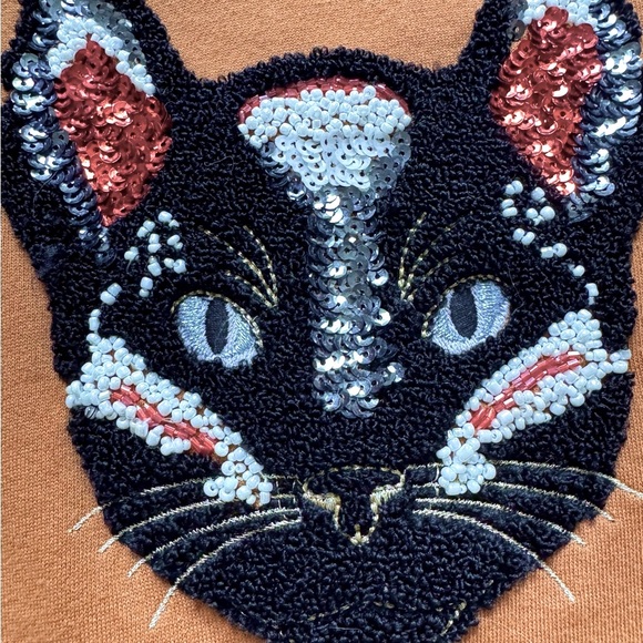 Stradivarius Rust Boxy Sweatshirt with Sequin and Bead Embellished Cat “Feline” - Picture 7 of 16